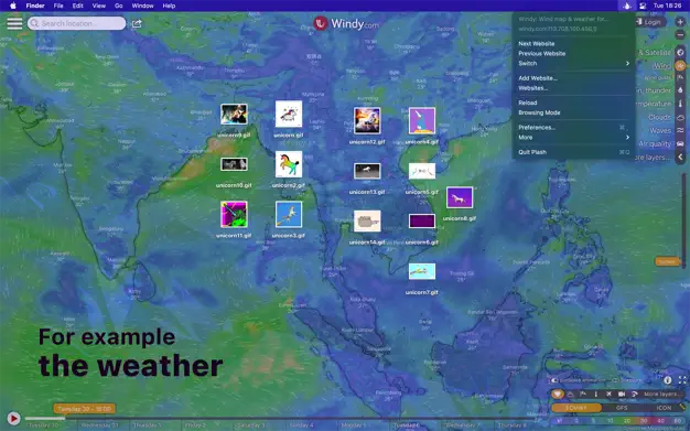 Plash 应用界面示意图