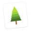 Pine